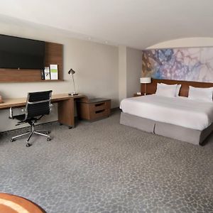 One-Bedroom King Suite